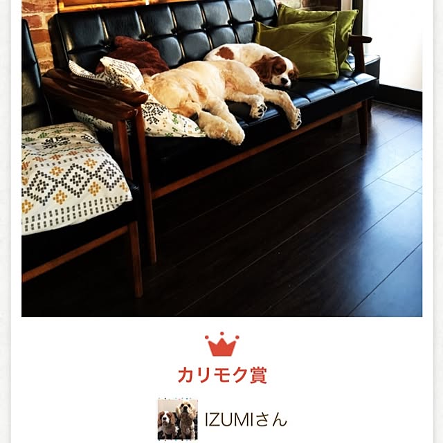 IZUMIさんの実例写真