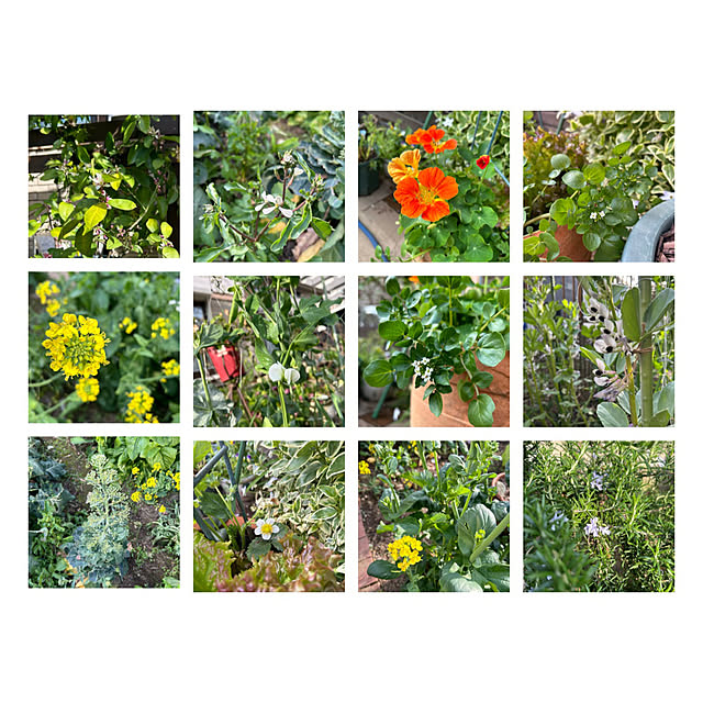 botanさんの実例写真