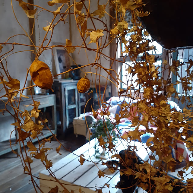 scrapheaven55さんの実例写真