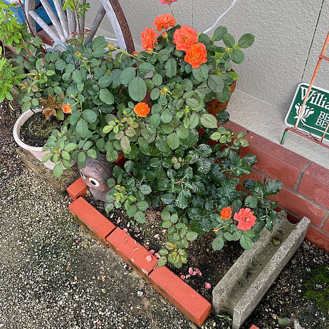 shin0719さんの部屋