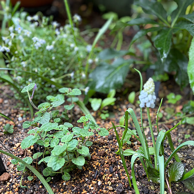 buchiさんの部屋