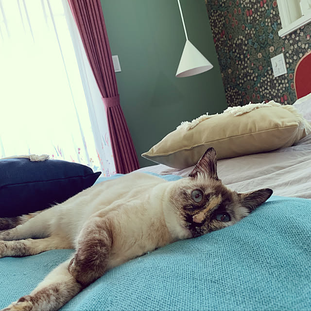 miyaさんの実例写真