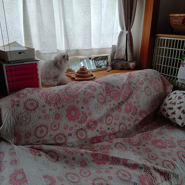 makaronさんの部屋