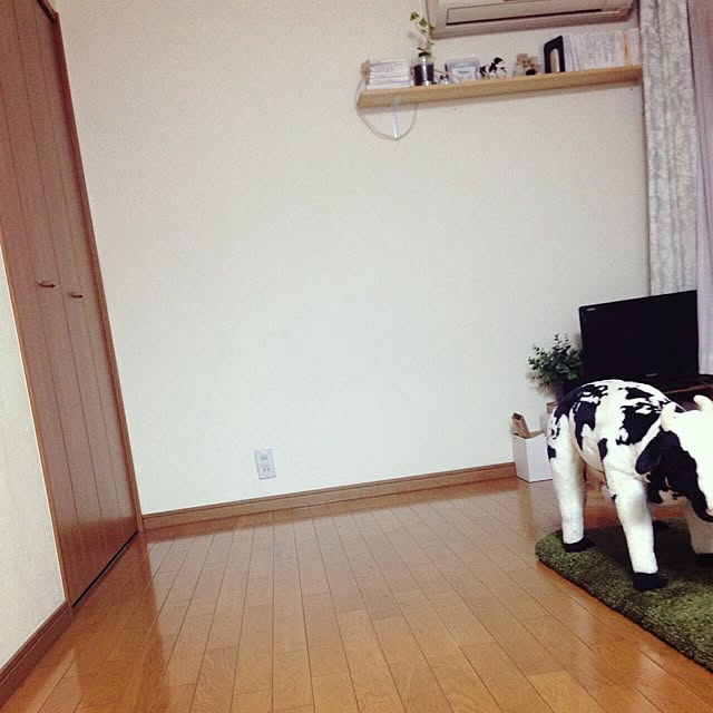 shiroさんの実例写真