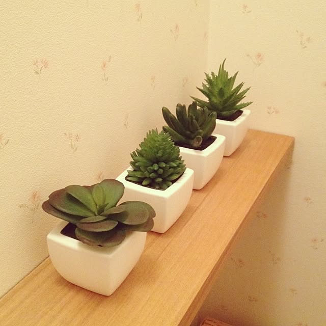 1conetさんの実例写真
