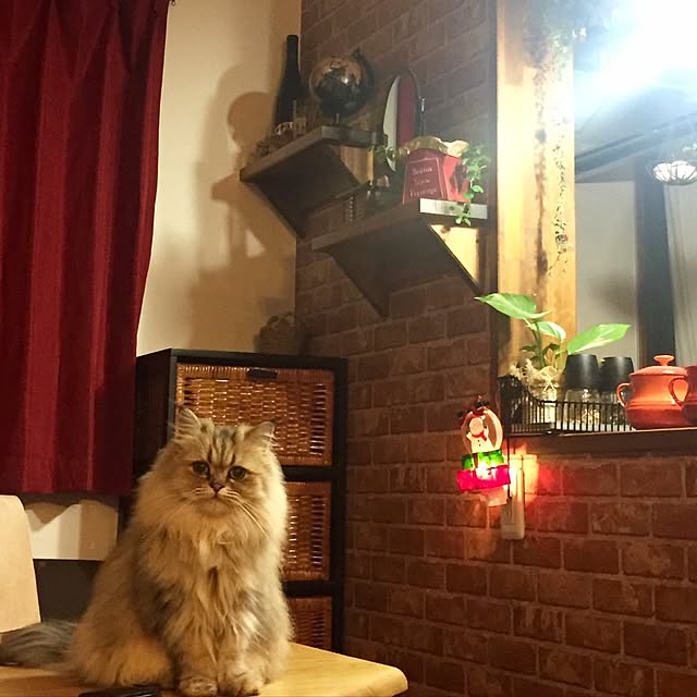 butachanさんの実例写真