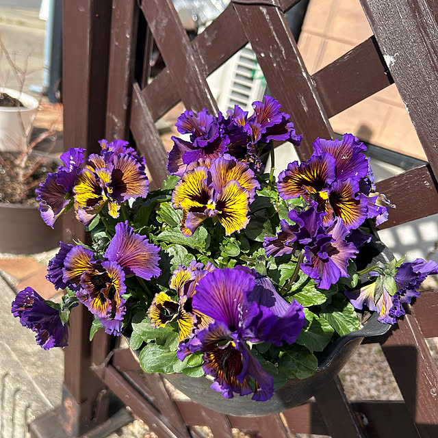 ritsukoさんの部屋