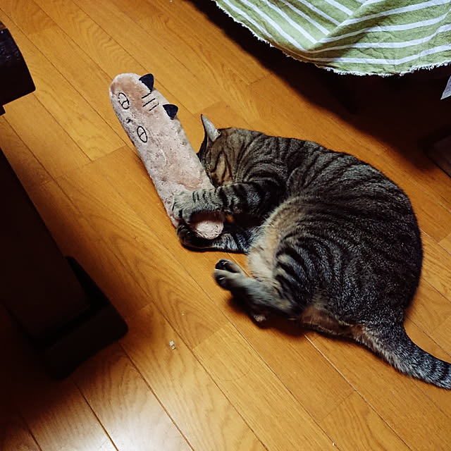 nachiさんの実例写真