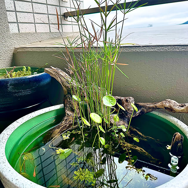 nakanakaさんの部屋