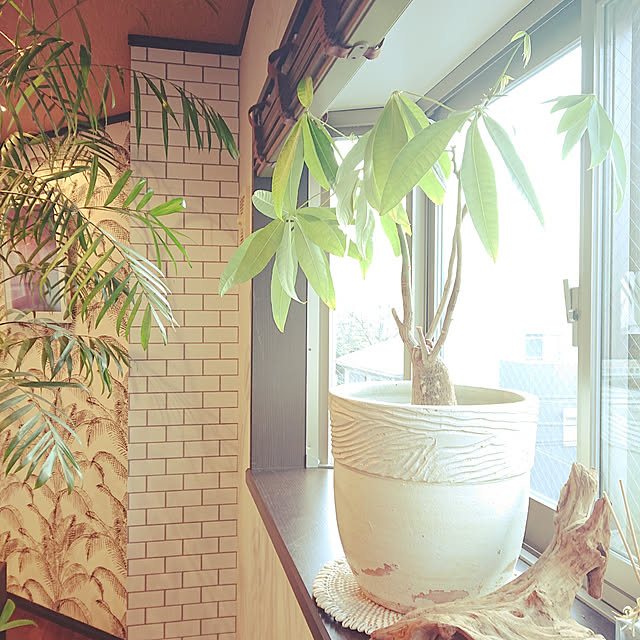 cocosorasakuさんの実例写真