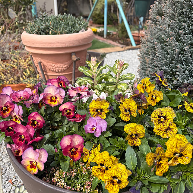 ronronさんの部屋