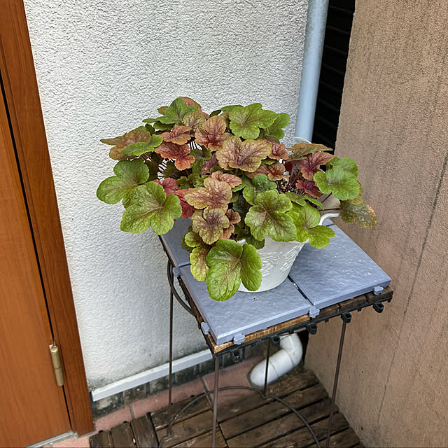 fumikoiさんの部屋