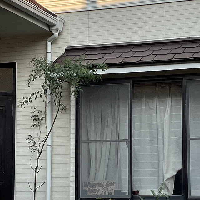 wanchanさんの部屋