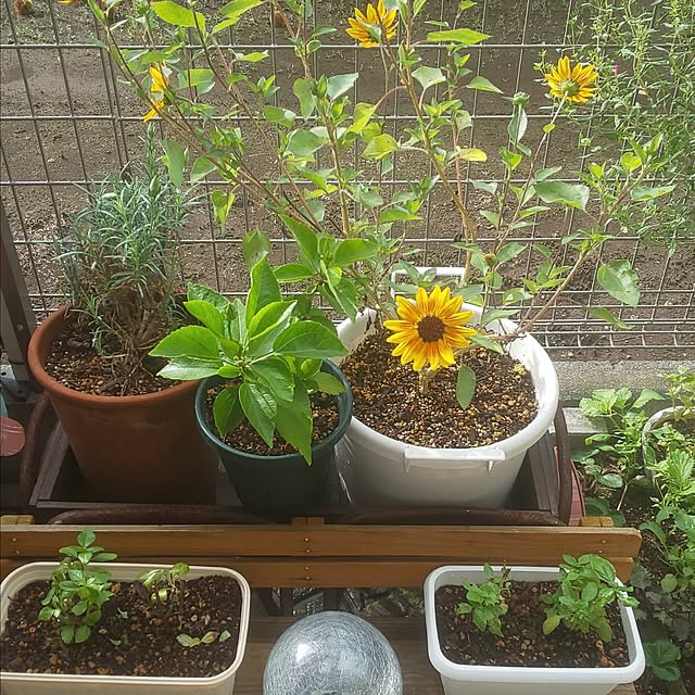 mmpoohさんの部屋