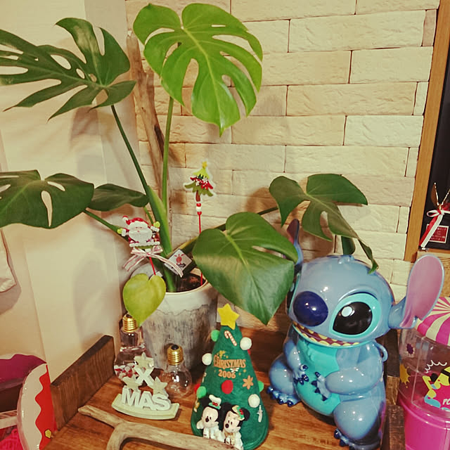yonyonさんの実例写真