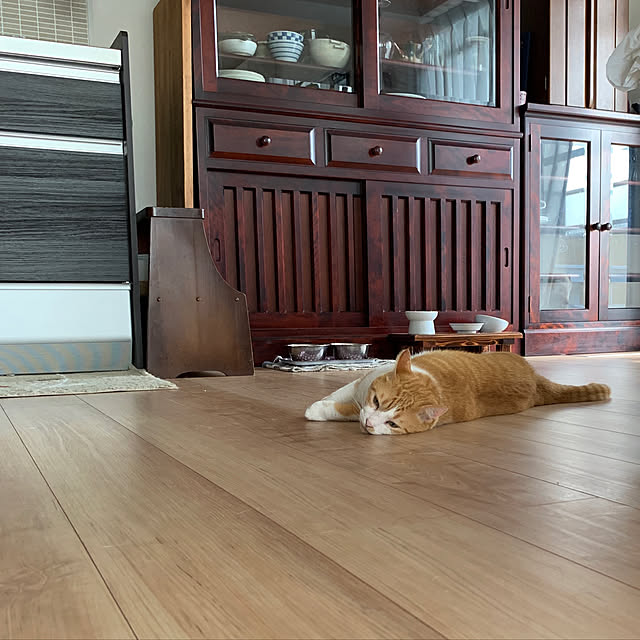 73さんの実例写真
