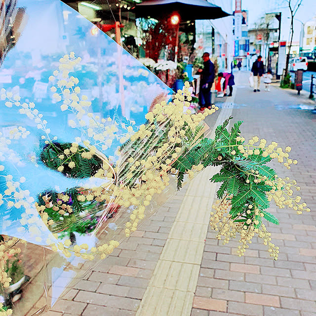実例写真