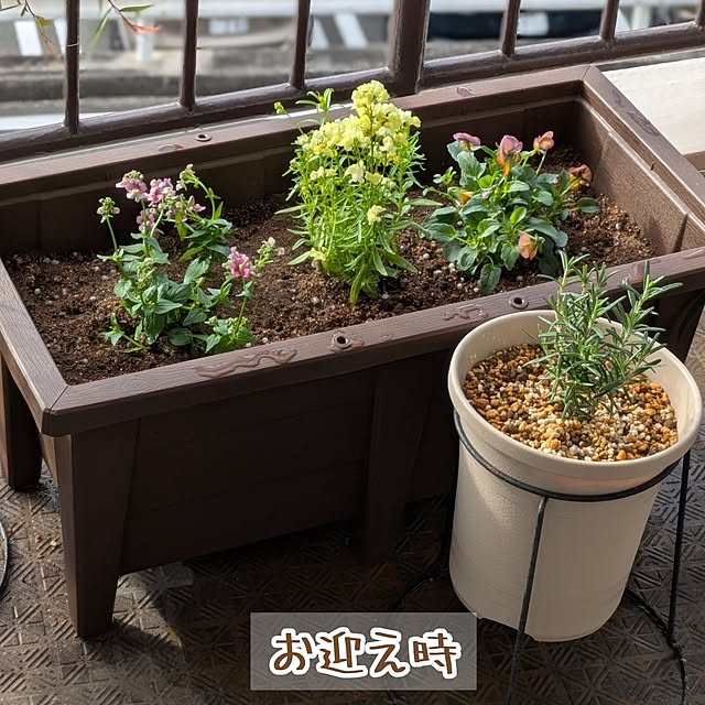 mi-saさんの部屋