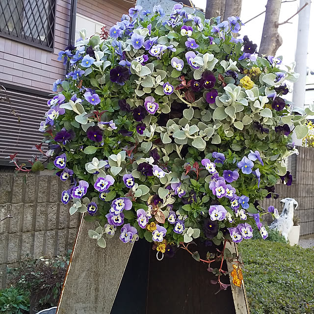 hanaさんの実例写真