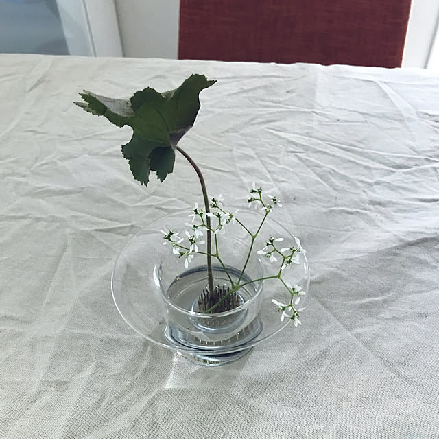 机/庭の花/花のある暮らし/生花のある暮らし/ガーデニング初心者...などのインテリア実例 - 2023-10-25 15:00:00