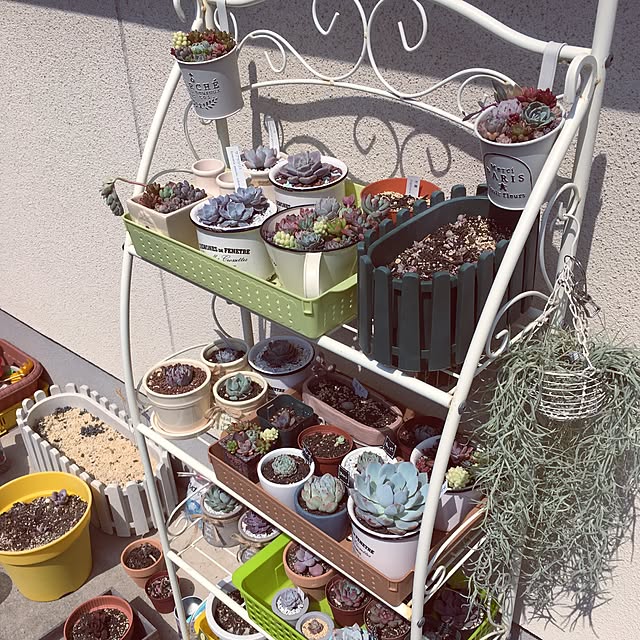 M.M.Rさんの実例写真
