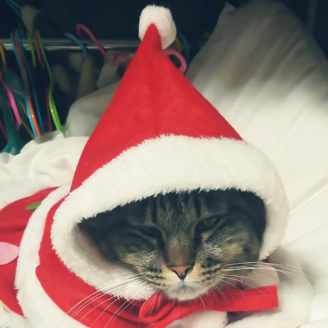 mayu.ariさんの実例写真