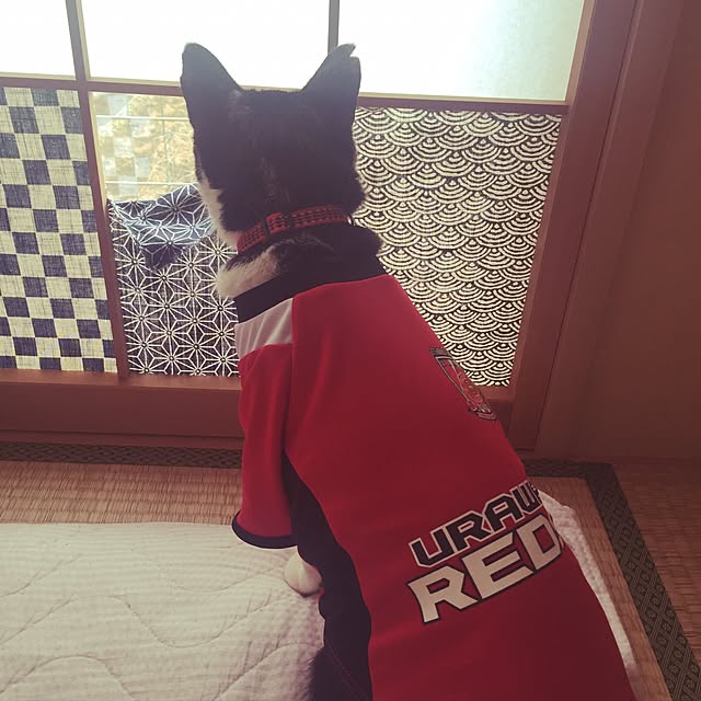 amandaさんの実例写真