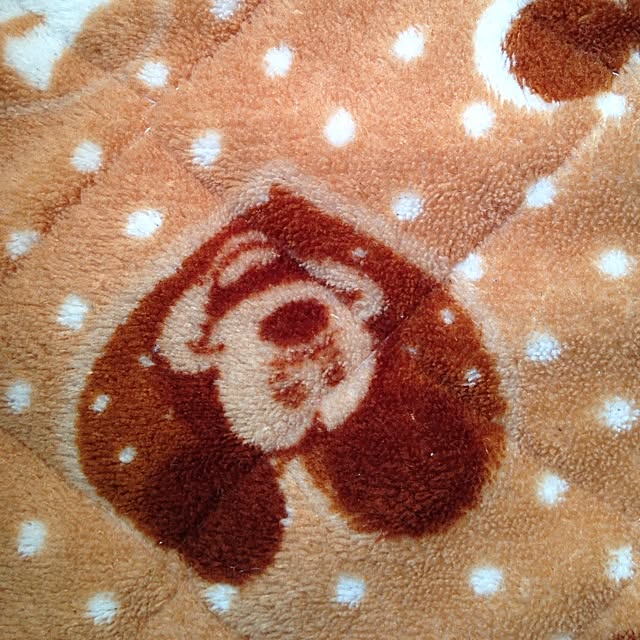 tokutanさんの実例写真