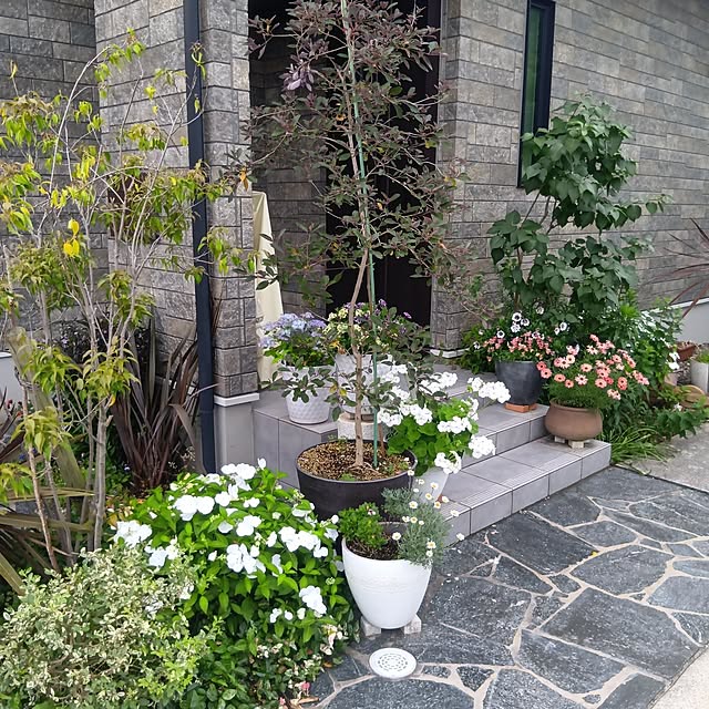 anmomaruさんの部屋