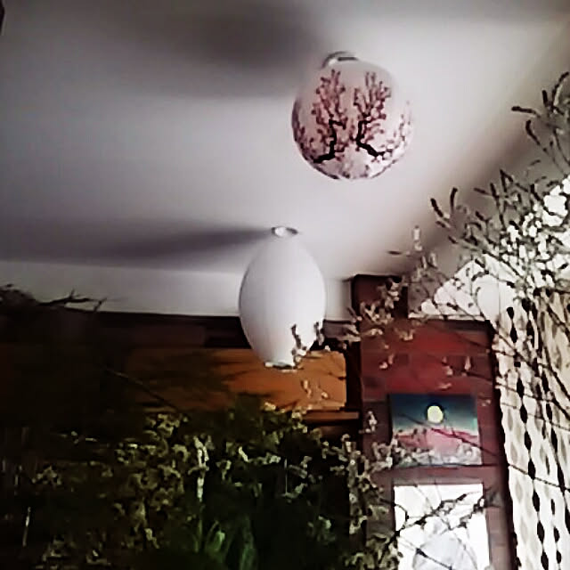 spinetailさんの実例写真