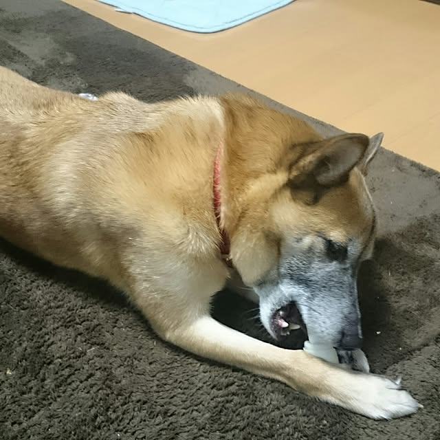 Kiyokoさんの実例写真
