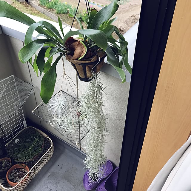 powakyonさんの実例写真