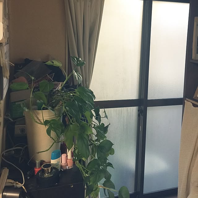 Harumiさんの実例写真