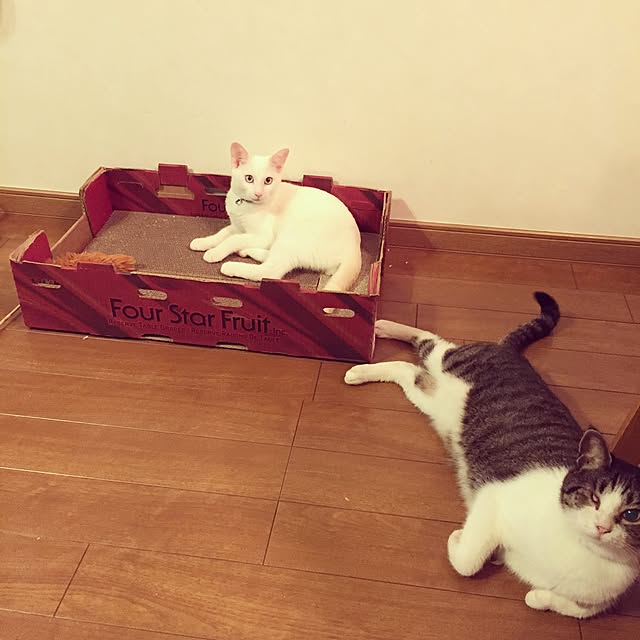 Rettiさんの実例写真
