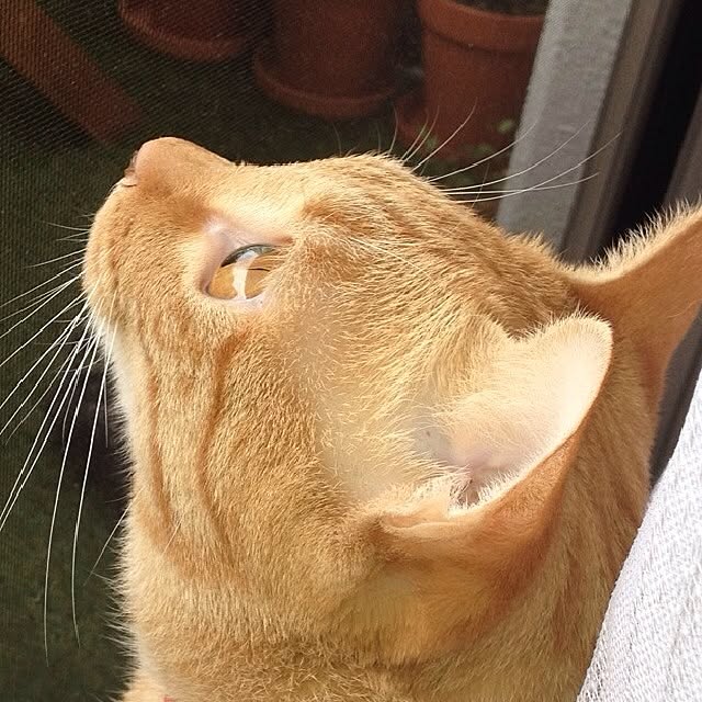 n-sanさんの実例写真