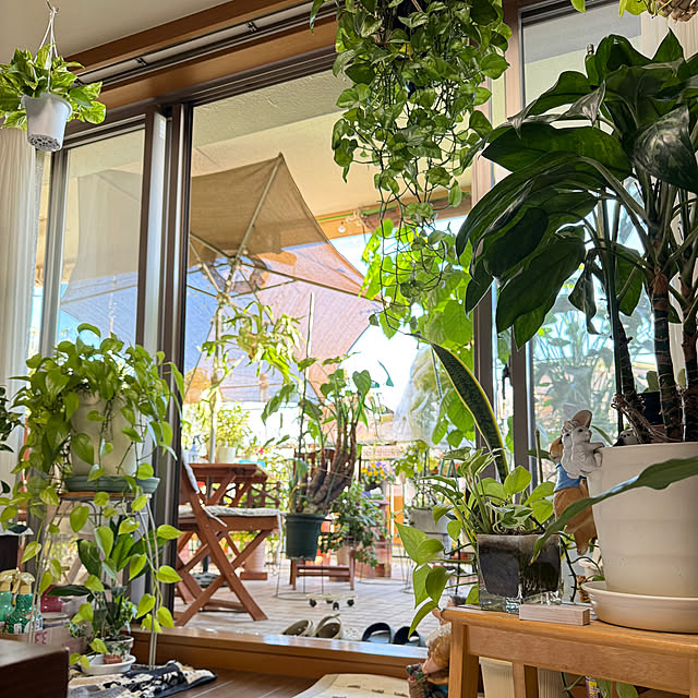 Aqettyさんの実例写真