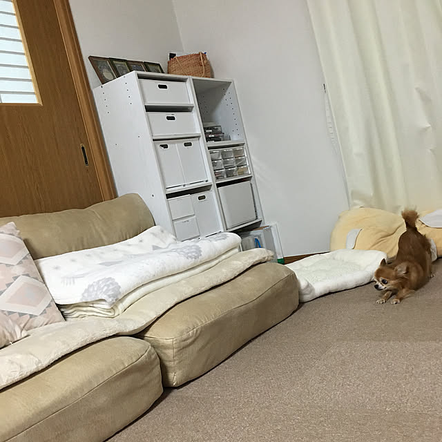 koroさんの実例写真