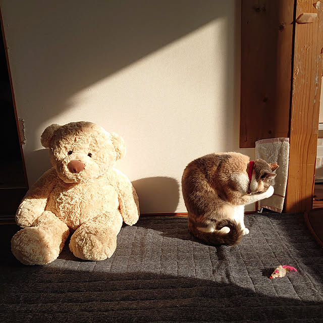 fukuさんの実例写真