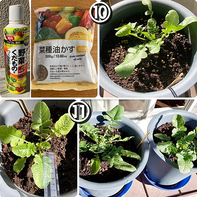 ToReTaRiさんの部屋