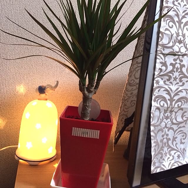 teruさんの実例写真