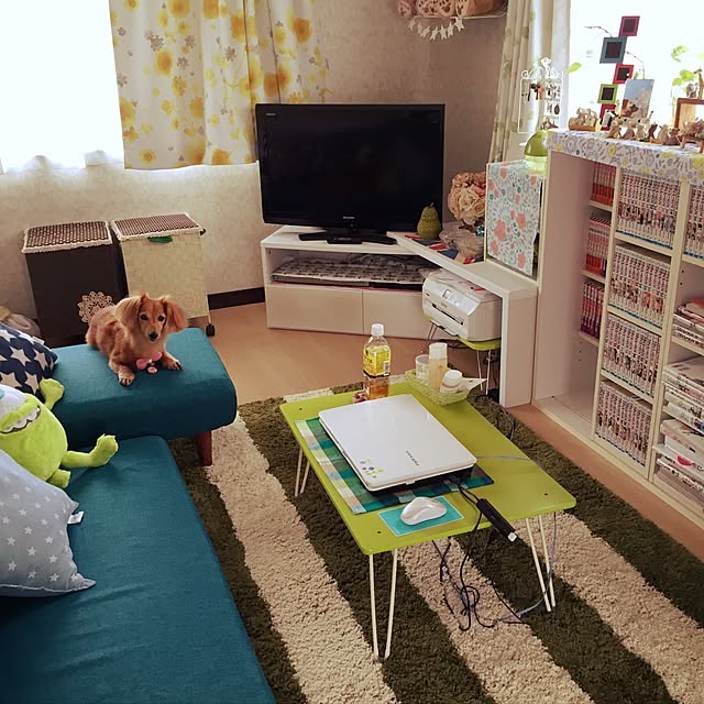19さんの実例写真