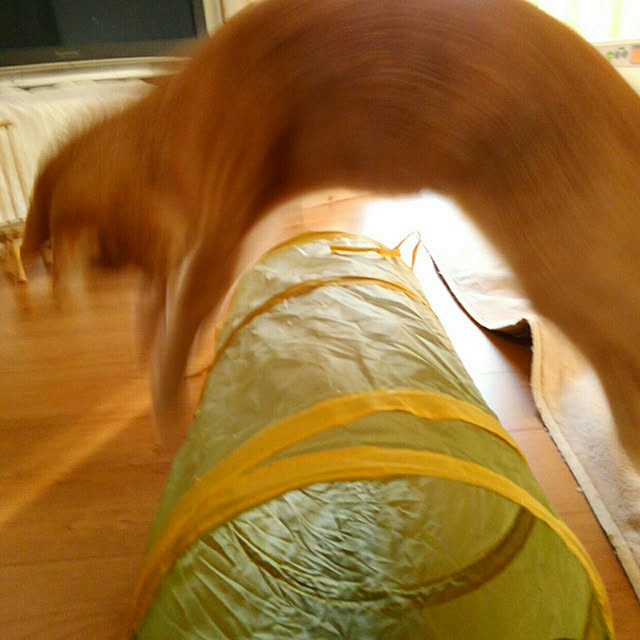 mayutan.さんの実例写真