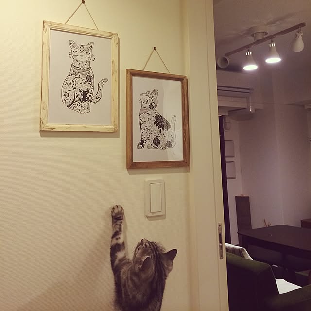 mikomaruさんの実例写真