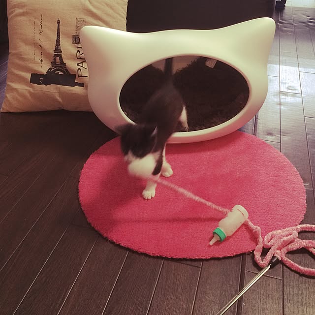 nodokaさんの実例写真