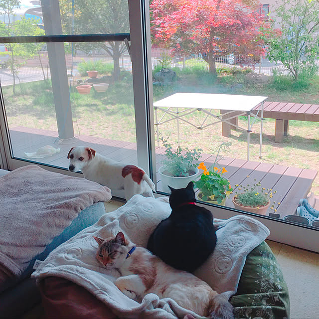 nanaさんの実例写真