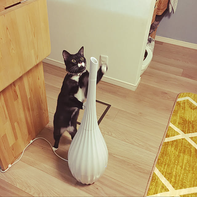 masamasaさんの実例写真