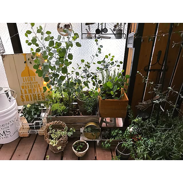 Hisayoさんの実例写真