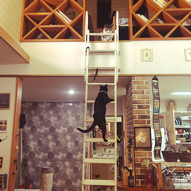 jijiさんの実例写真