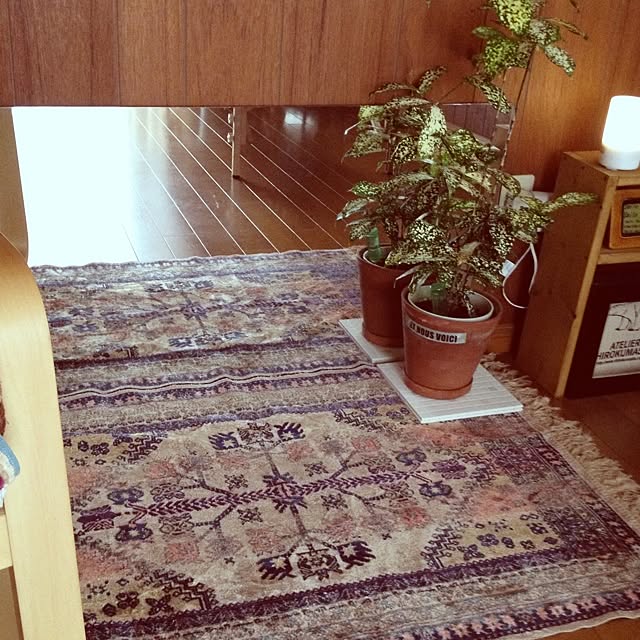 botanさんの実例写真
