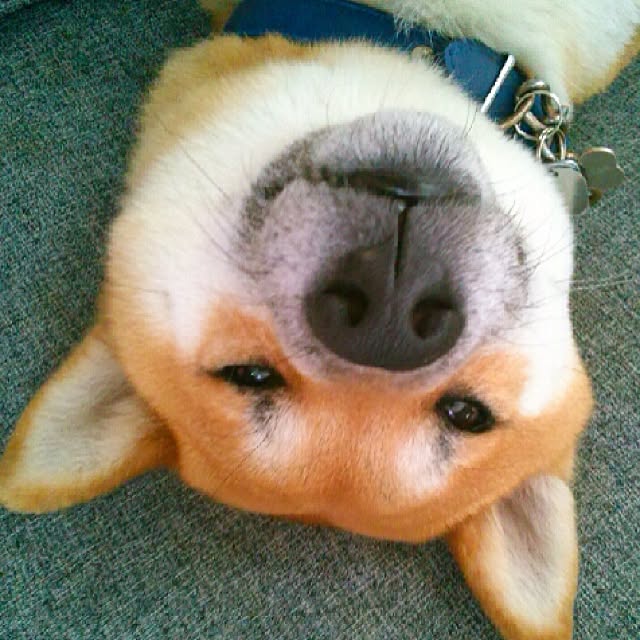 kotaさんの実例写真